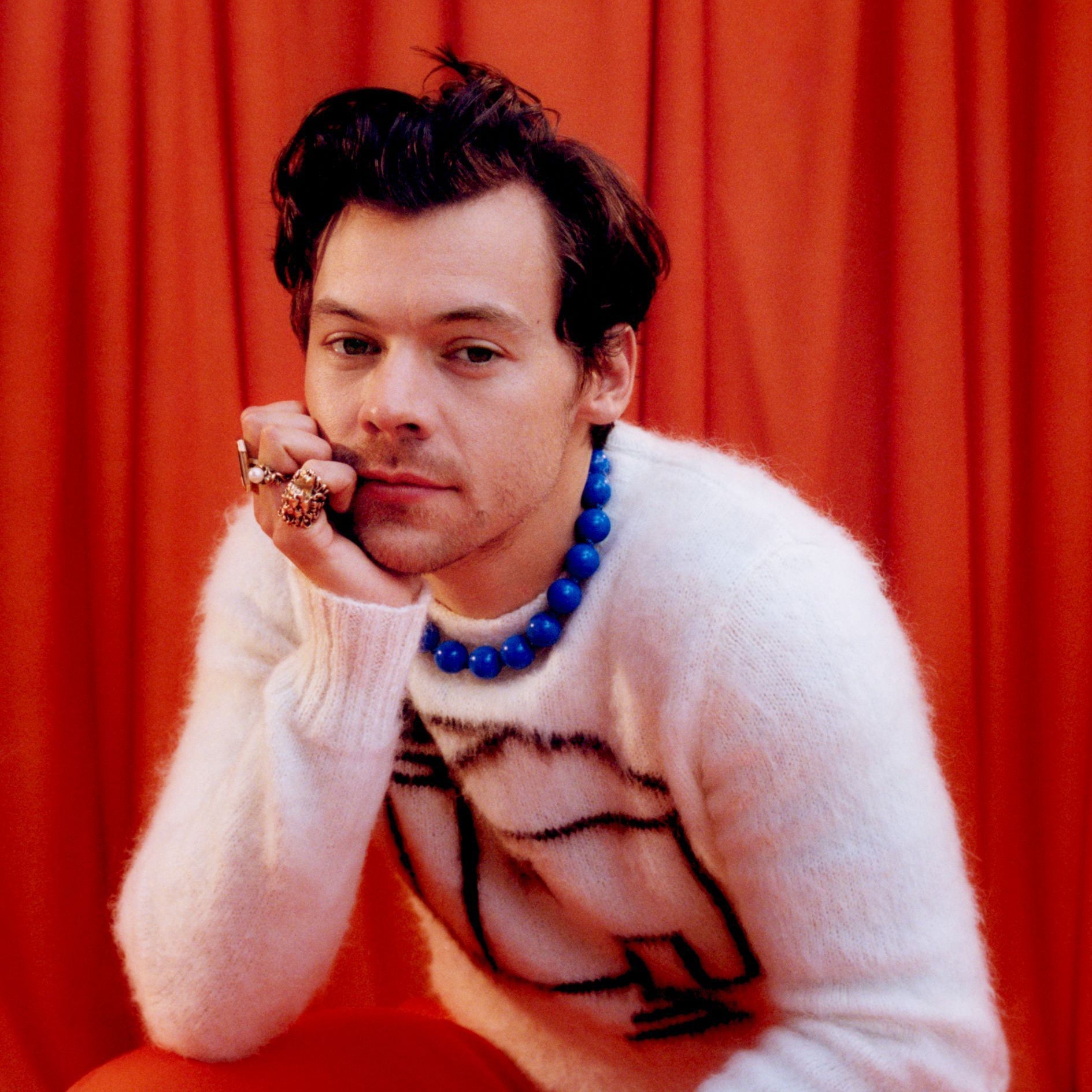 Translation missing: fr.Harry Styles: Harry Styles