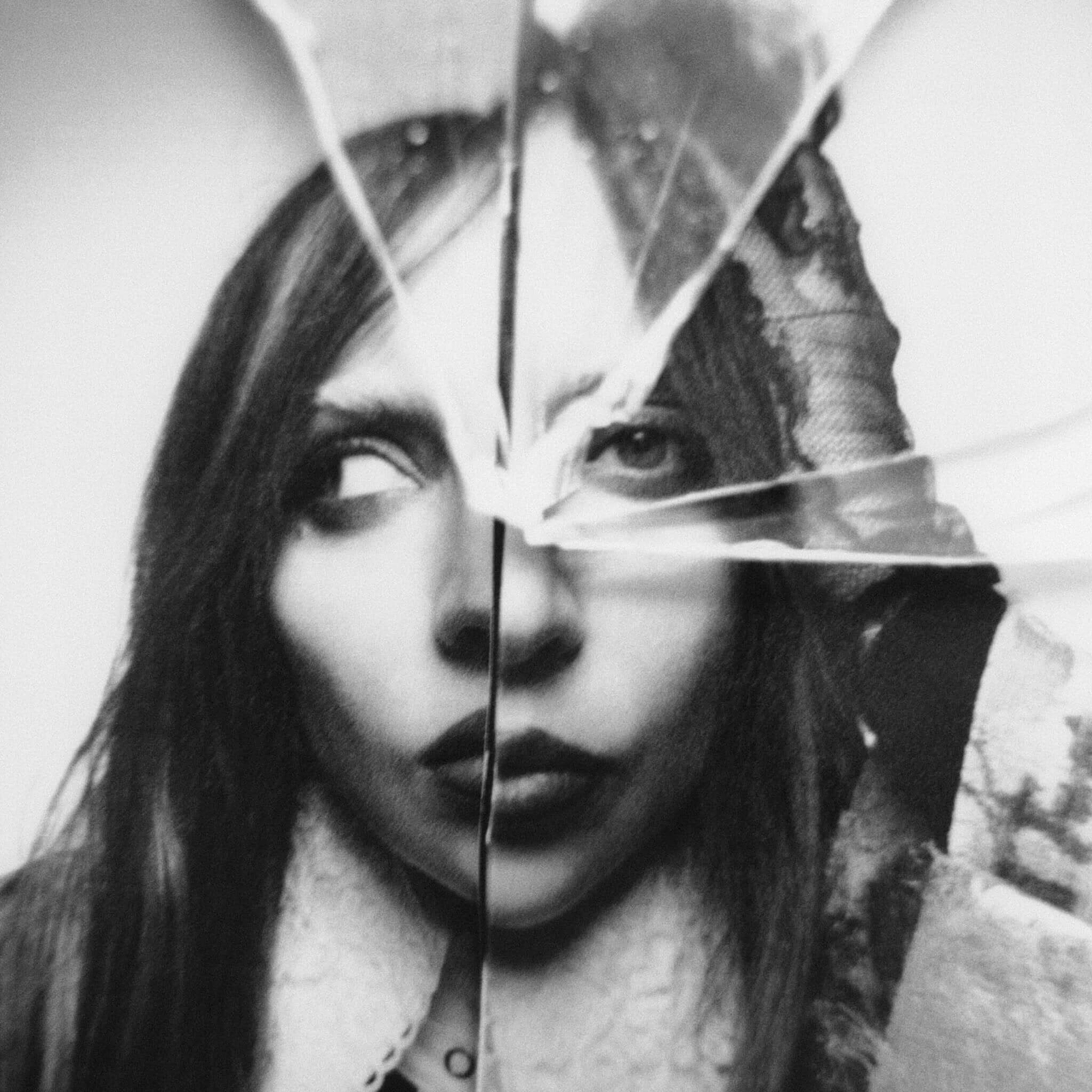 Translation missing: fr.Lady Gaga - Plastic Books: Lady Gaga