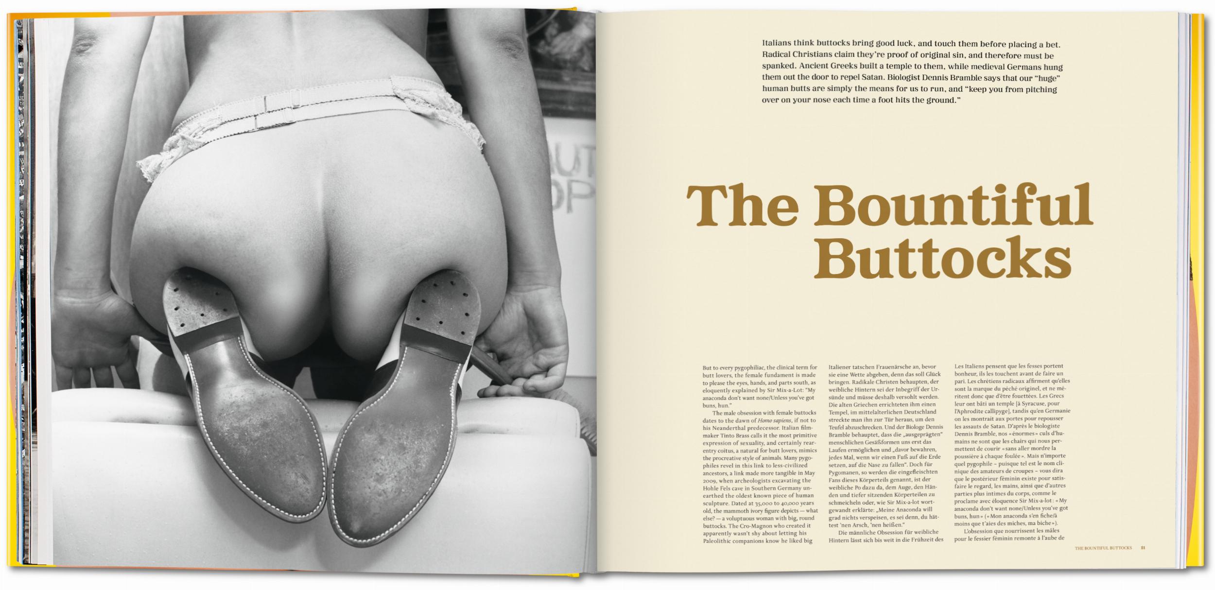 The Big Butt Book – Plastic Books