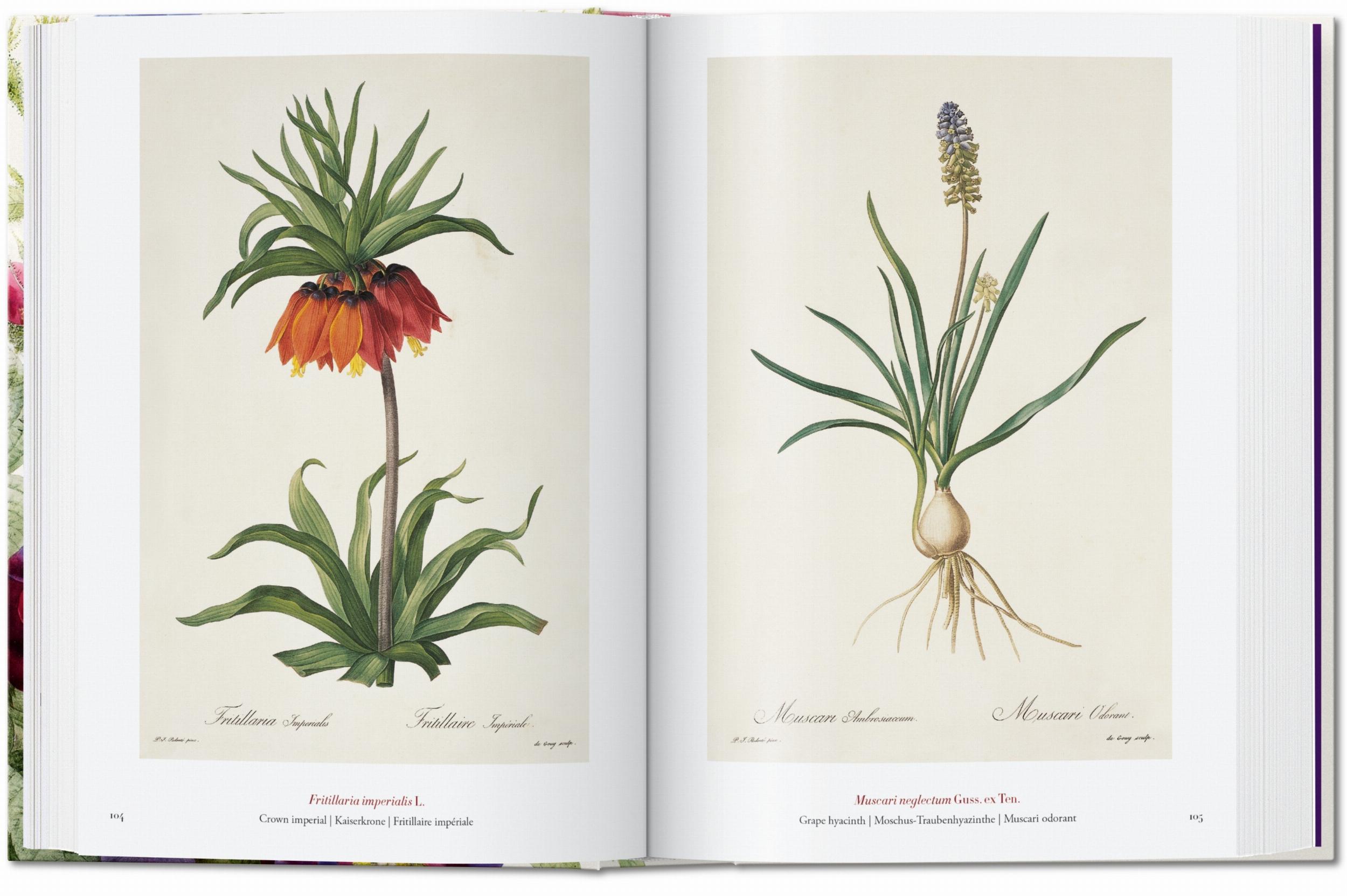 Pierre-Joseph Redouté. El libro de las flores. 40th Ed. – Plastic Books