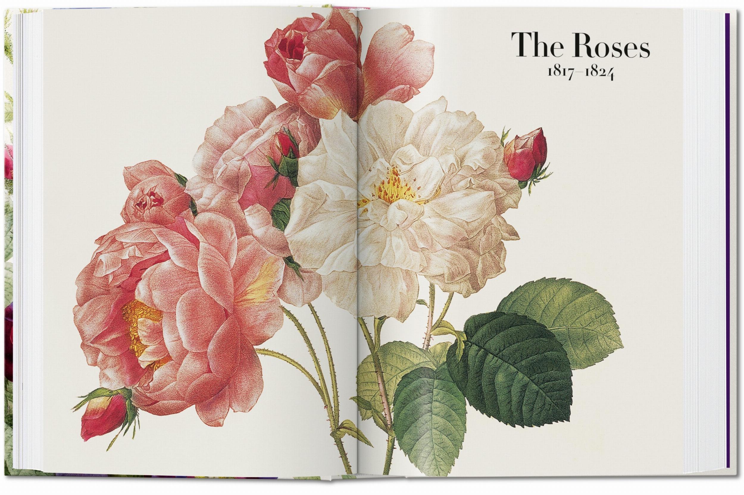 Pierre-Joseph Redouté. El libro de las flores. 40th Ed. – Plastic Books